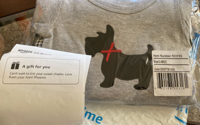 First Baby Registry Gift