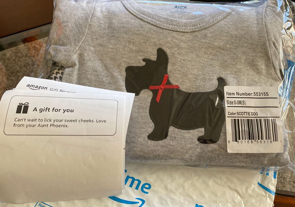 First Baby Registry Gift